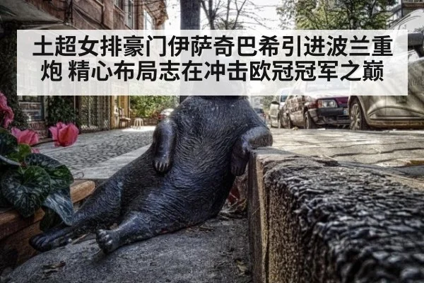 土超女排豪门伊萨奇巴希引进波兰重炮 精心布局志在冲击欧冠冠军之巅